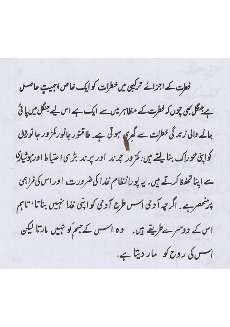 Shikari Shikar Aur Jangal Se Piyar In Urdu - Indya