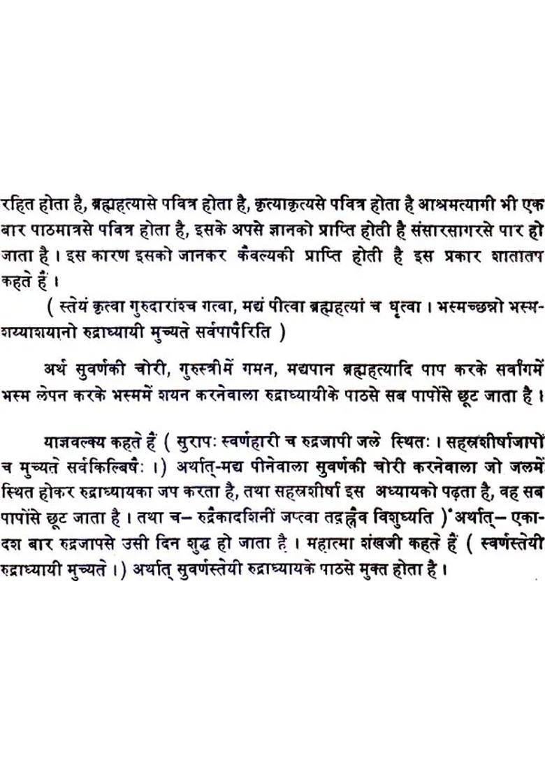 Rudra Ashtadhyayi - Indya