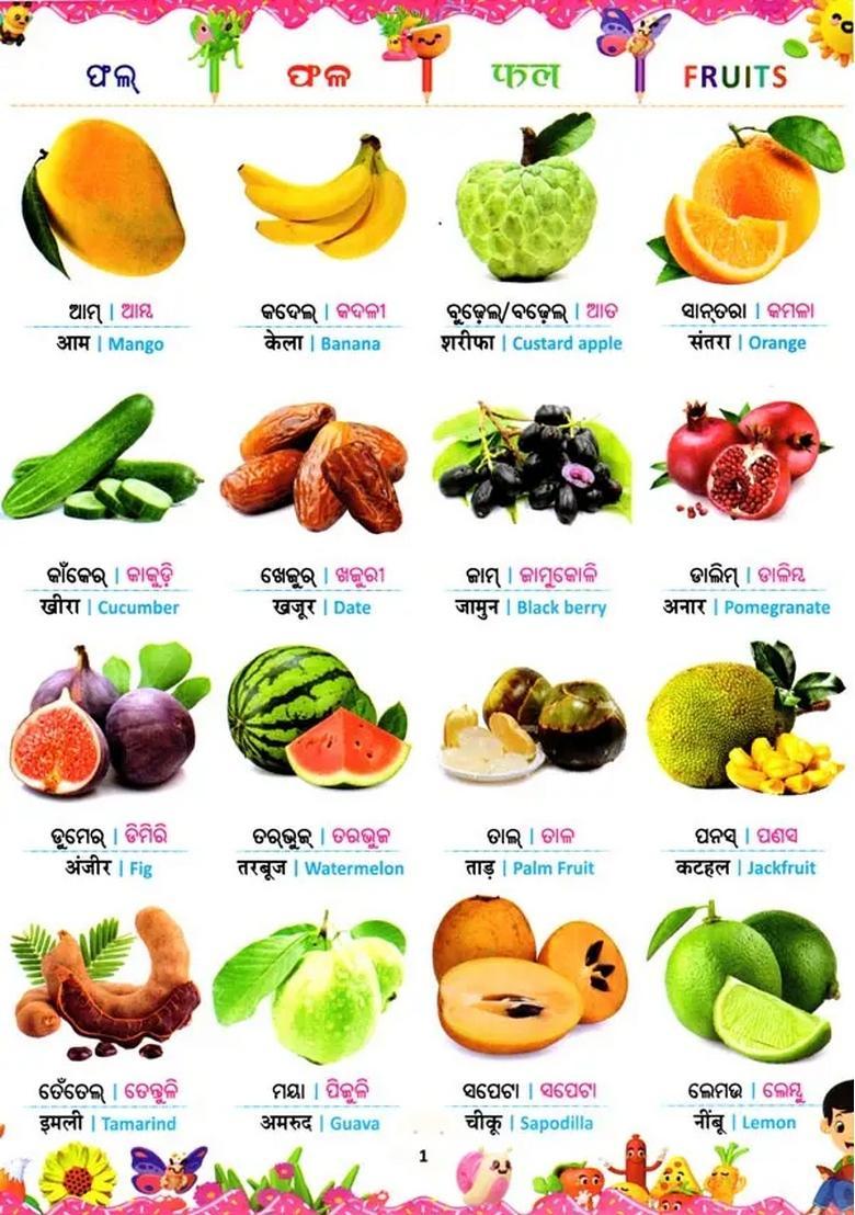 Four Language Picture Book Oriya English And Hindi - Indya