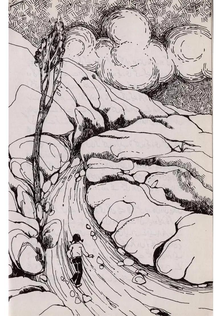 For A Greener World In Urdu - Indya