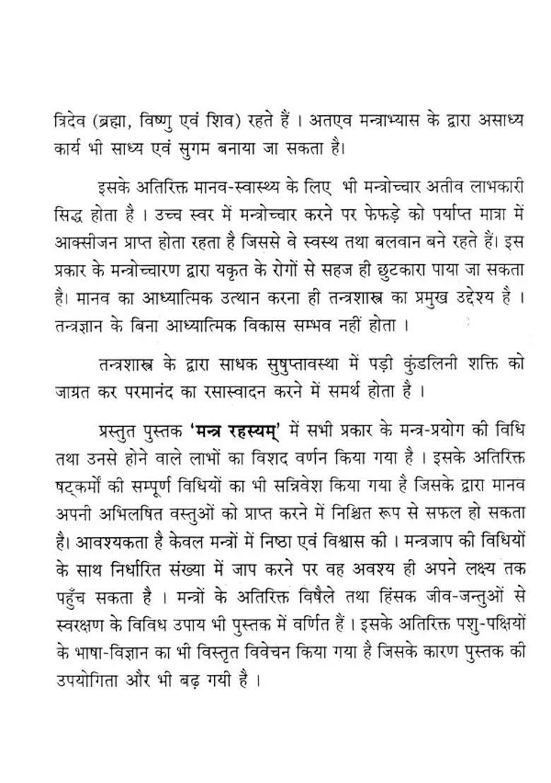 Mantra Mystery - Indya