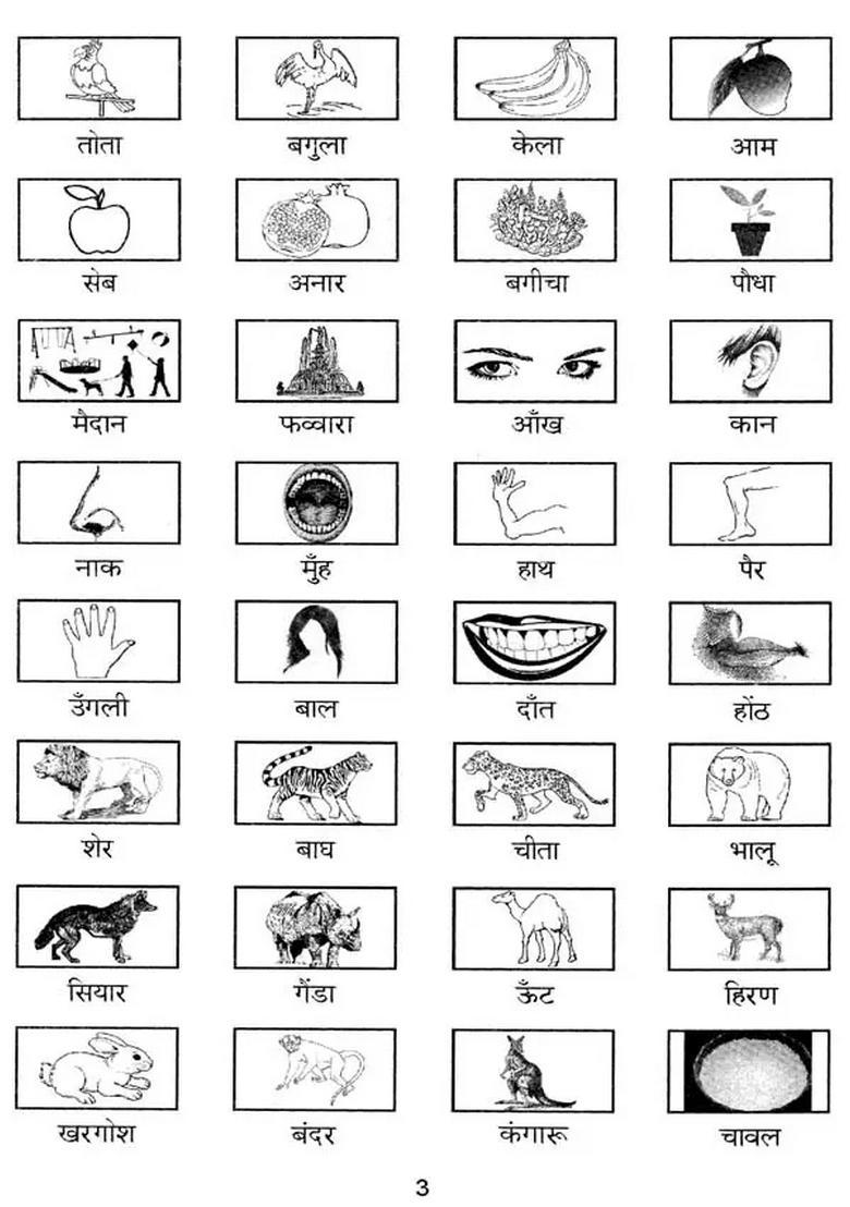 Jai Parichay Q A Question Bank With Answers Naveen Hindi Parichay In Tamil - Indya