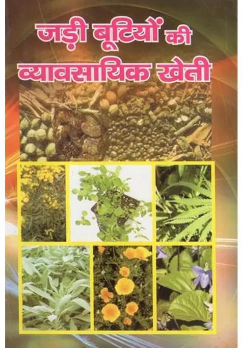 Commercial Cultivation Of Herbs