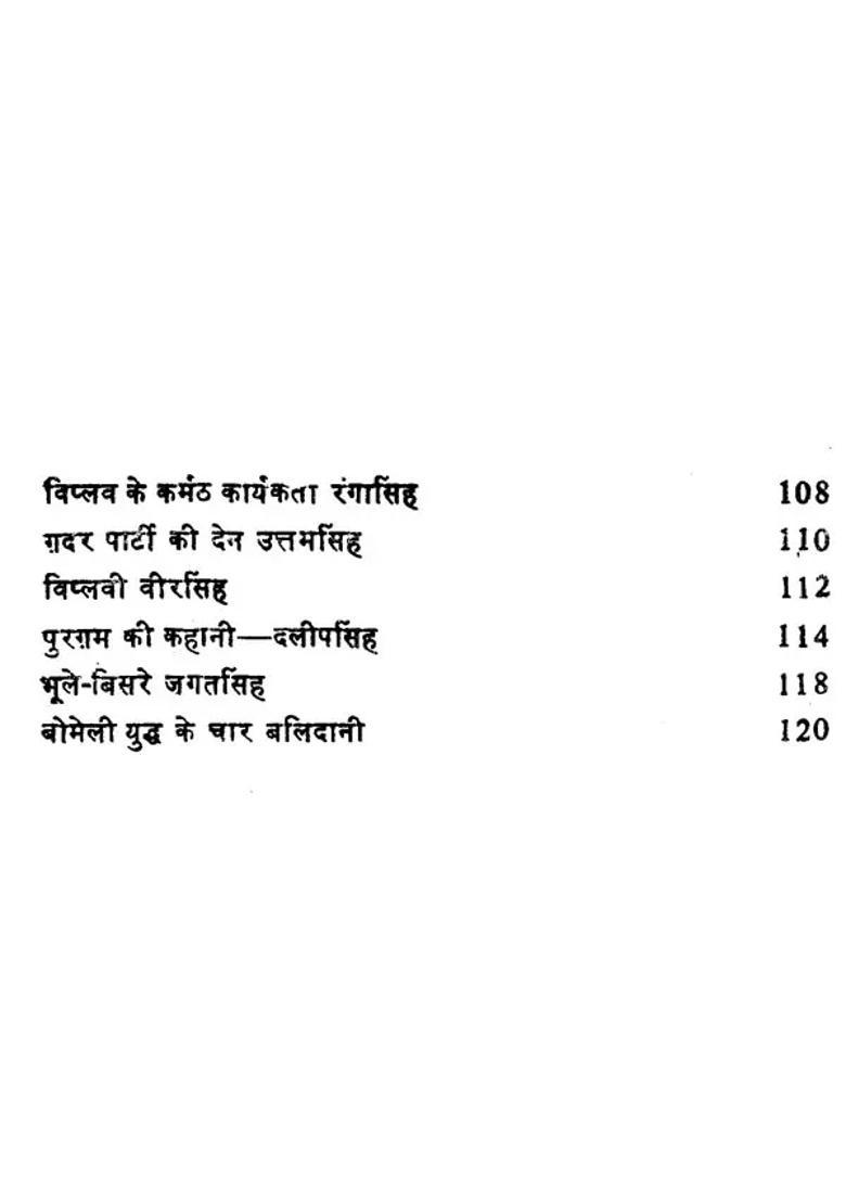 Revolutionary Patriot Sikh - Indya