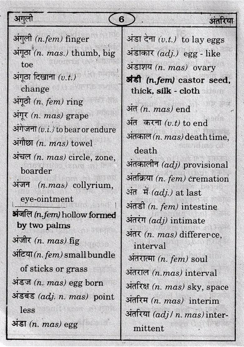 Dictionary Hindienglish Pocket Dictionary - Indya