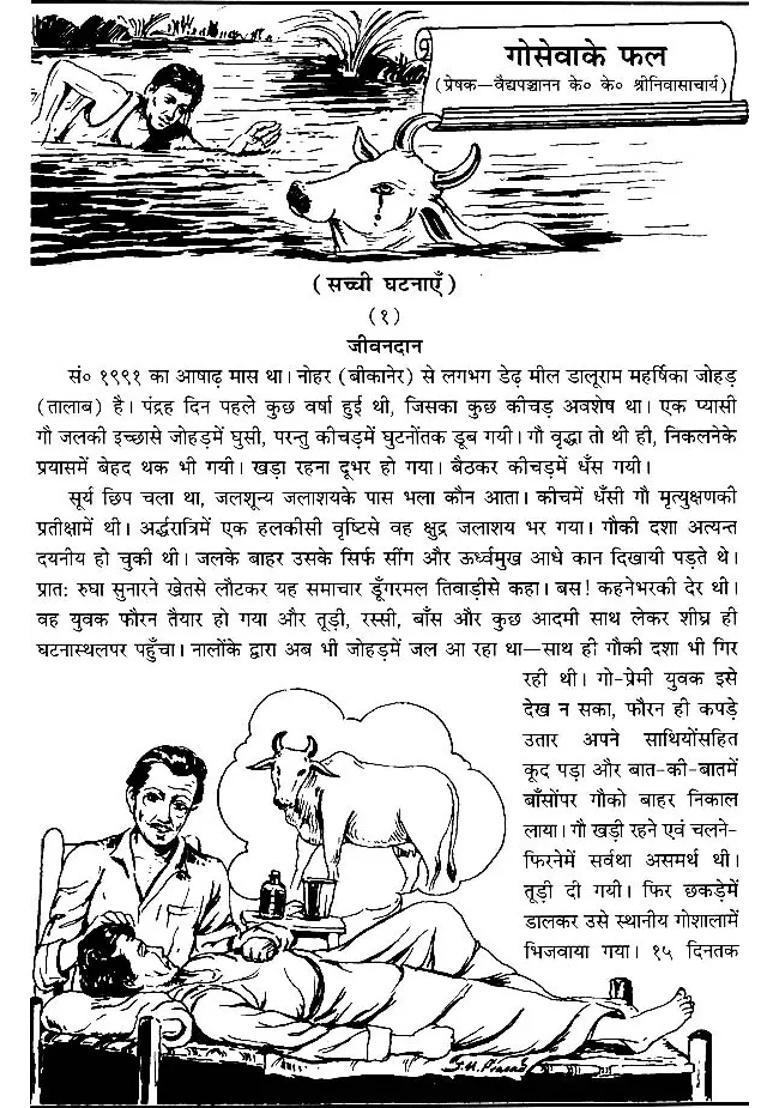 Miracles Resulting From Service To Cows - Indya