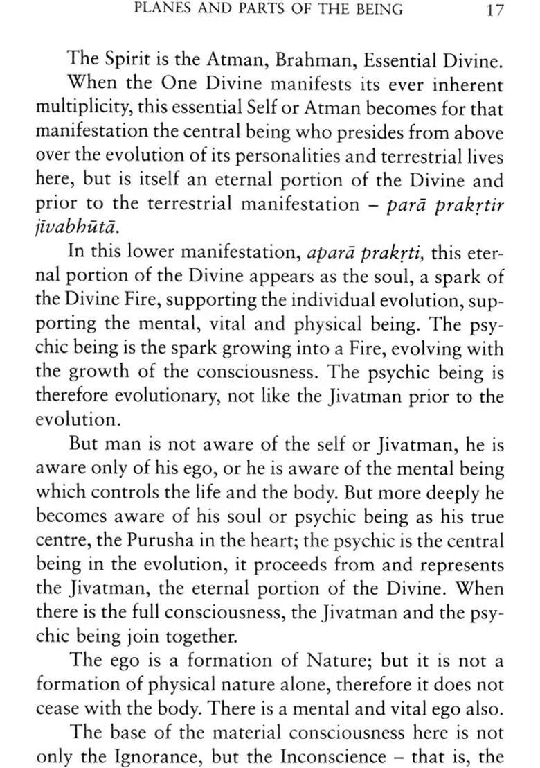 Lights On Yoga - Indya