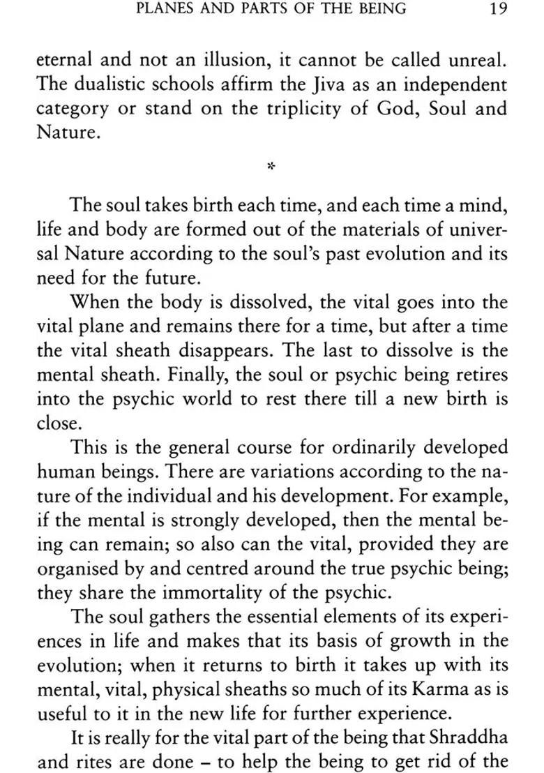 Lights On Yoga - Indya