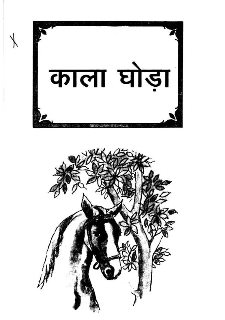 Black Horse Hindi Translation Of Famous Novel Black Beauty - Indya