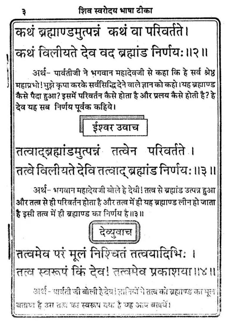 Real Ancient Shiva Swarodaya Language Commentary - Indya