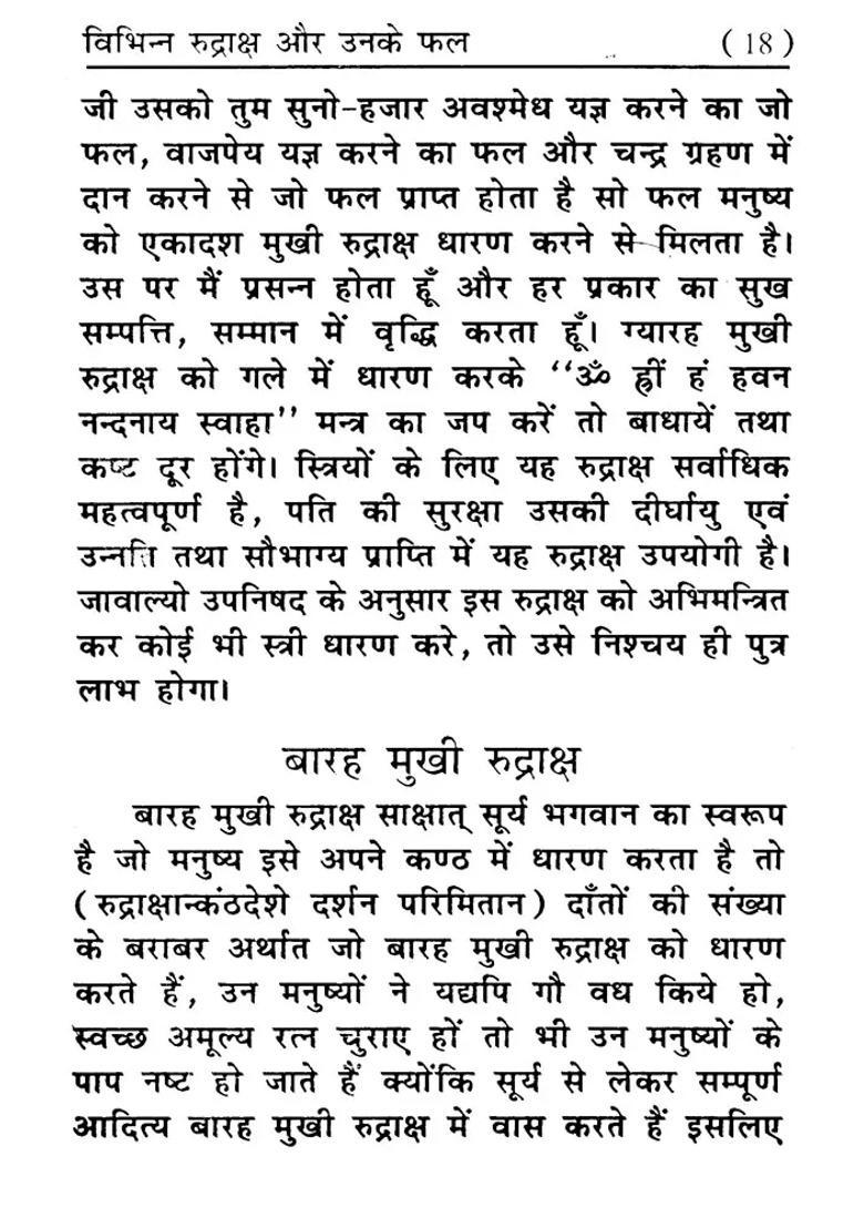 Rudraksha And Ratna Parichay Shiv Ka Vardan - Indya
