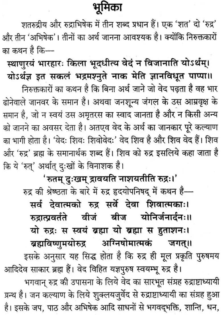 Shata Rudriya With Rudra Abhishek And Prayog - Indya