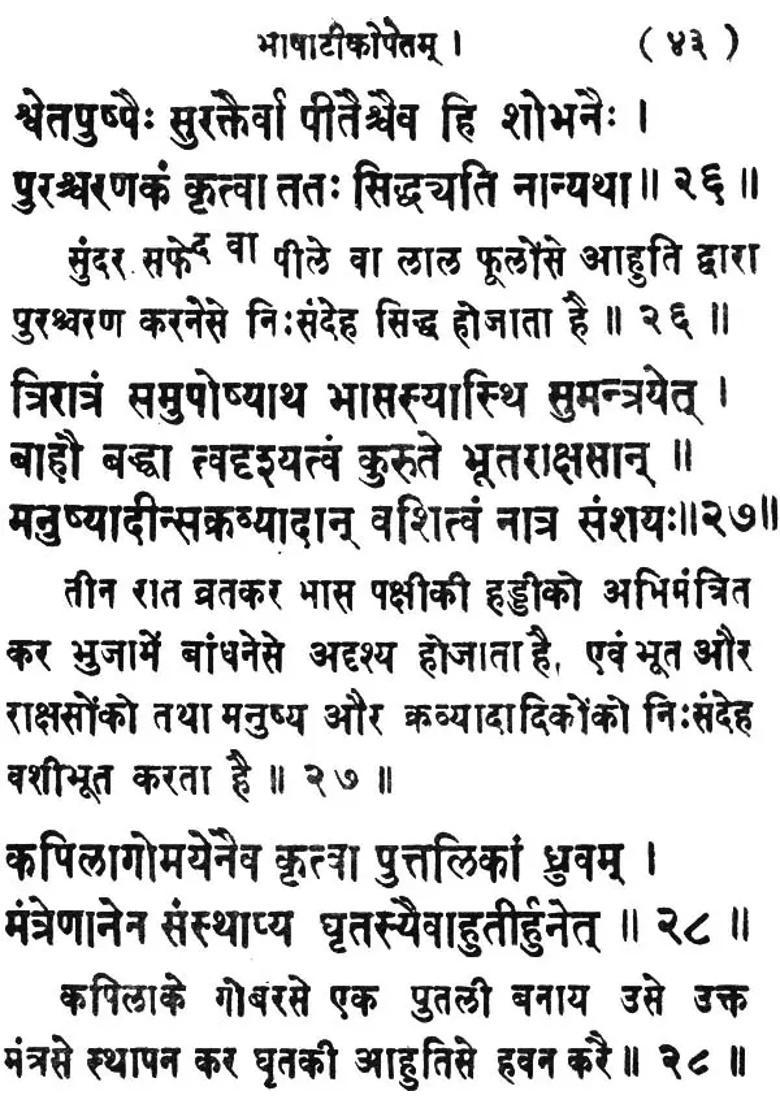 Siddh Shankara Tantra - Indya