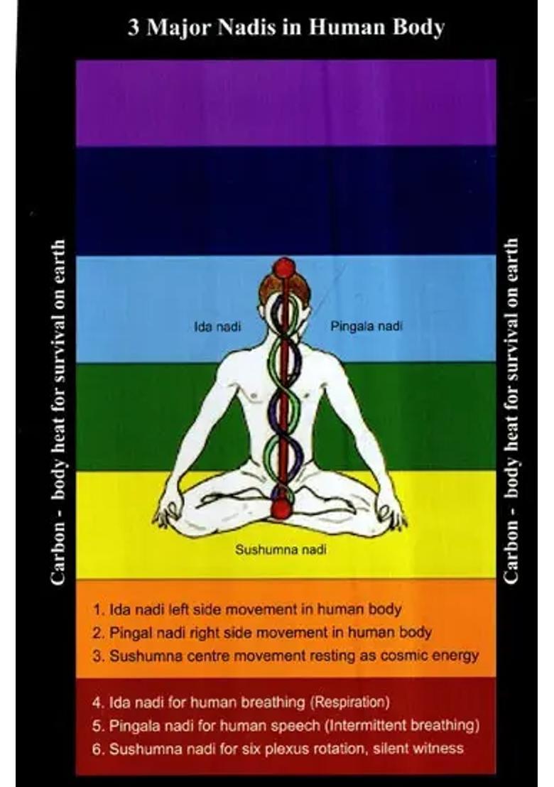 Mystic Symbols Of Adhara Chakra The Pinnacle Of Kundalini Yoga - Indya