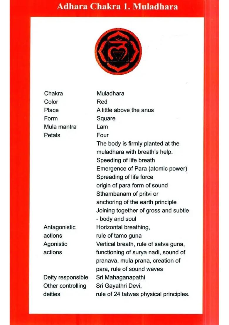 Mystic Symbols Of Adhara Chakra The Pinnacle Of Kundalini Yoga - Indya