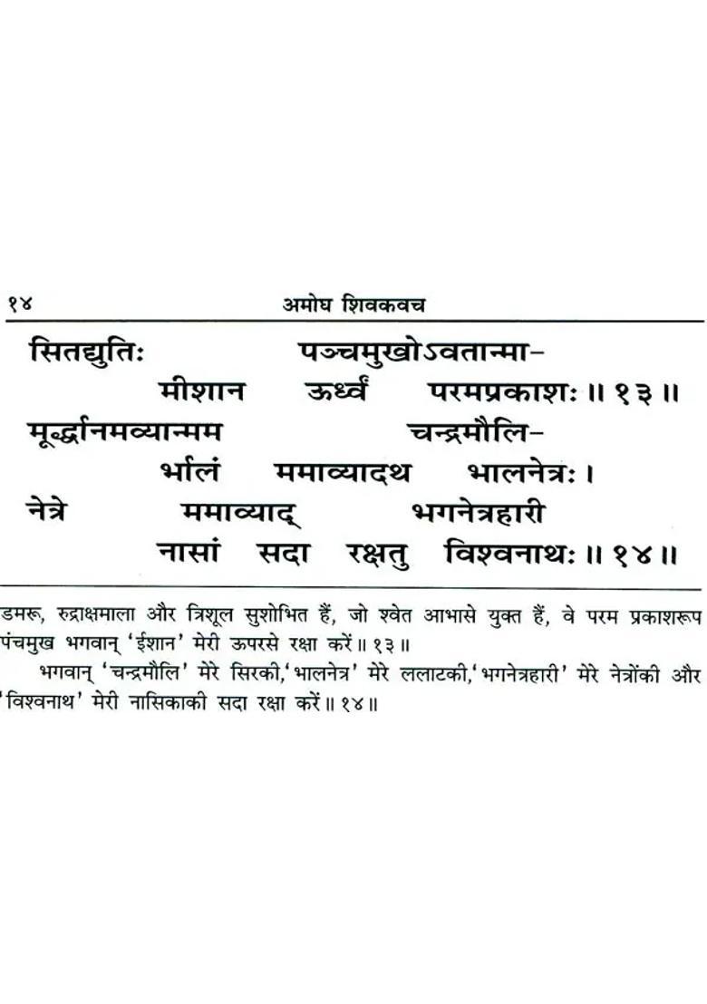 The Shiva Kavach - Indya