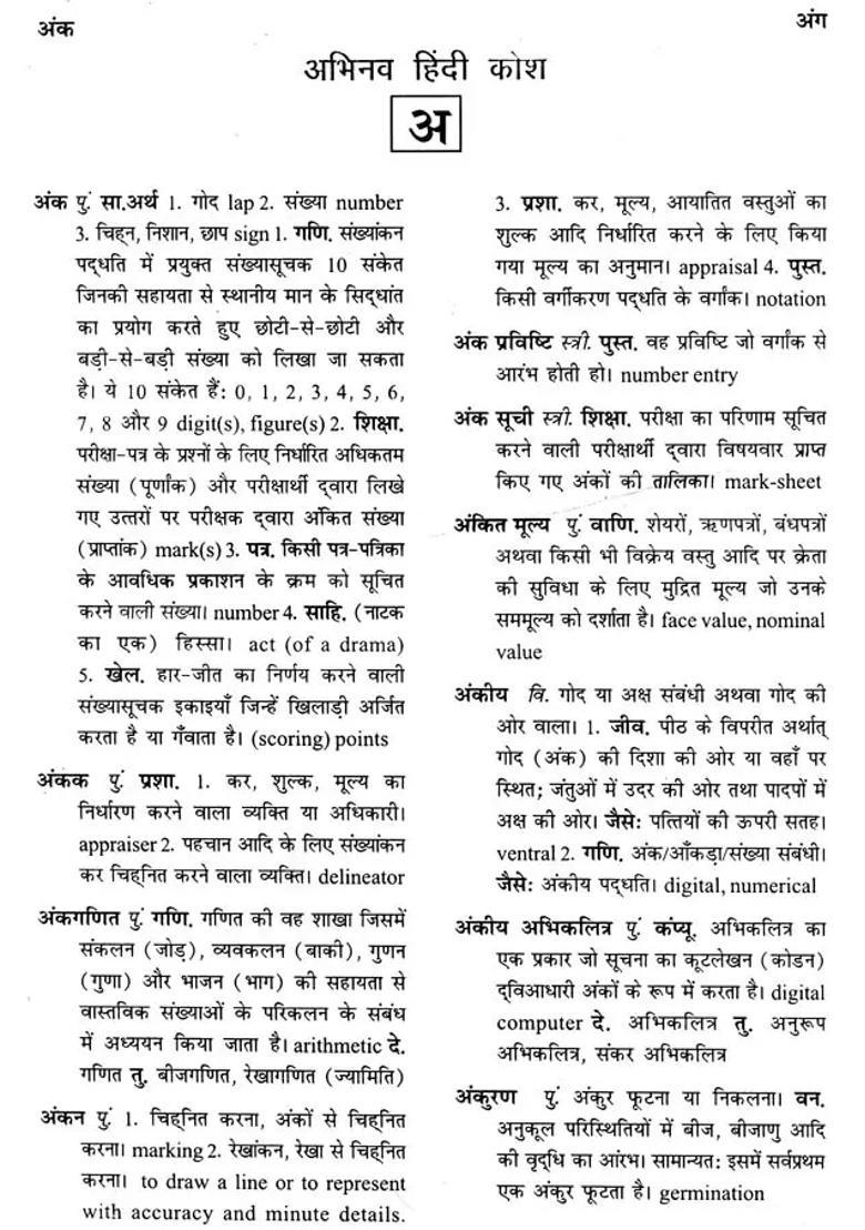 Abhinav Hindi Dictionary An Old Book - Indya