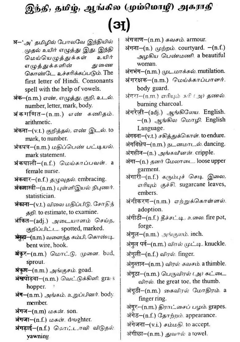Youngminds Trilingual Dictionary Hindi Tamil English - Indya