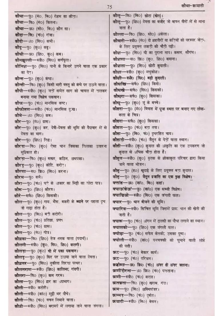 Paharihindi Dictionary An Old And Rare Book - Indya