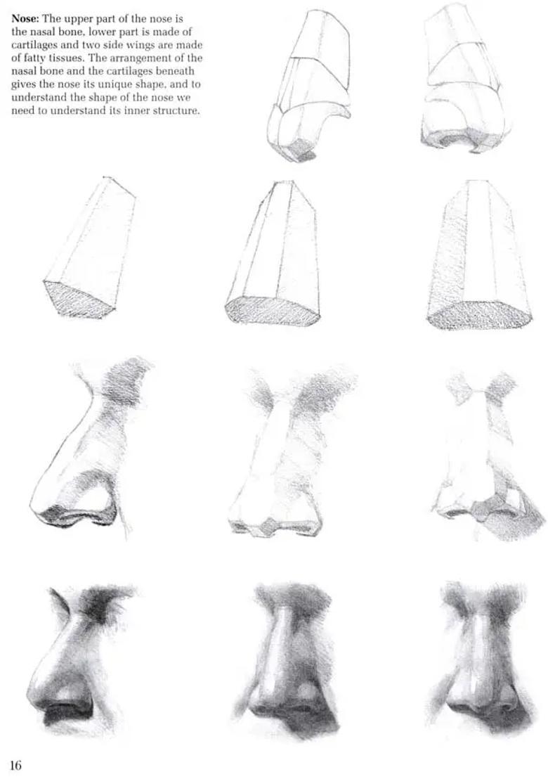 Head Study (Simplifying the Human Head) - Indya