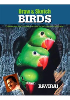 Draw & Sketch Birds: A Comprehensive Guide to Drawing & Sketching and How to Maximise Youfi-Potential