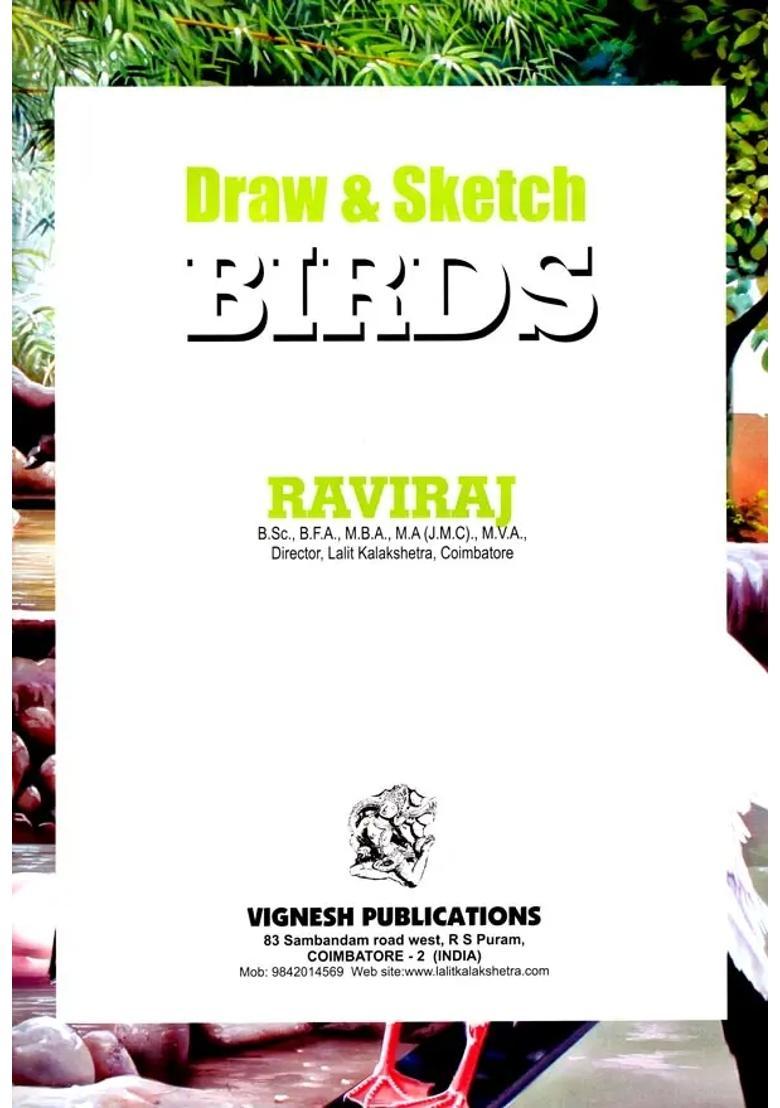 Draw & Sketch Birds: A Comprehensive Guide to Drawing & Sketching and How to Maximise Youfi-Potential - Indya