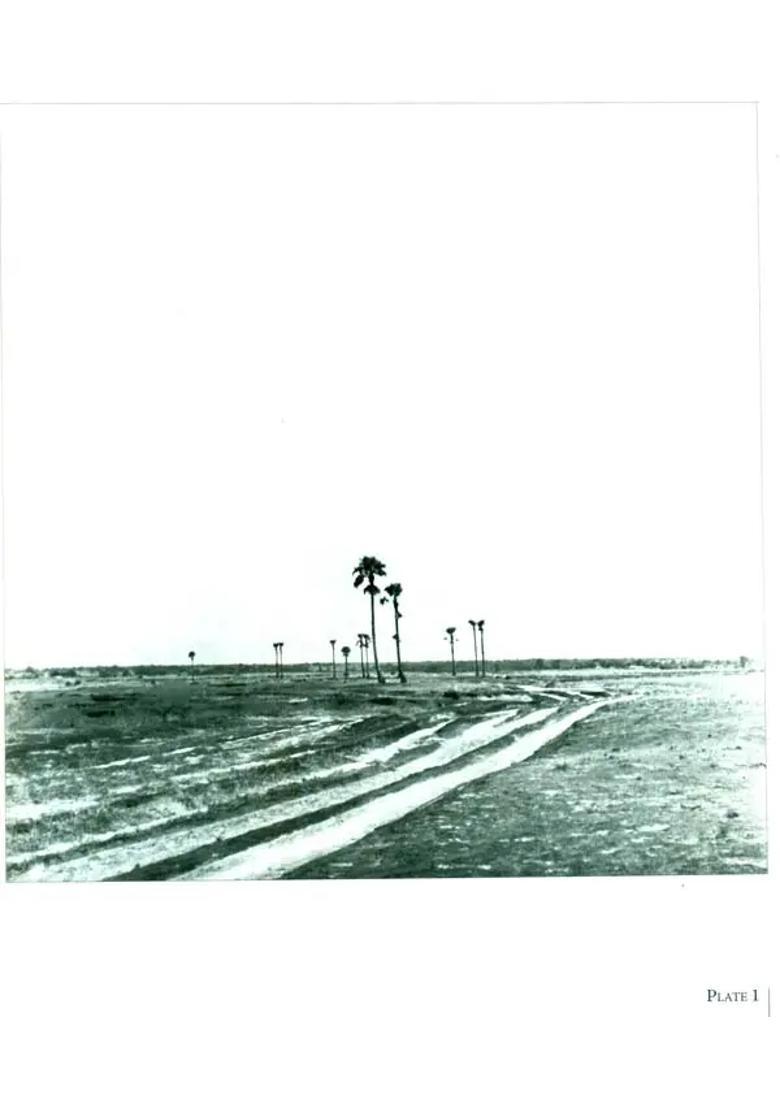 Faces and Places of Visva Bharati - A Collection of Photographs - Indya