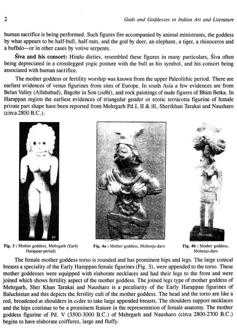 Gods and Goddesses in Indian Art and Literature (A Big Book) - Indya