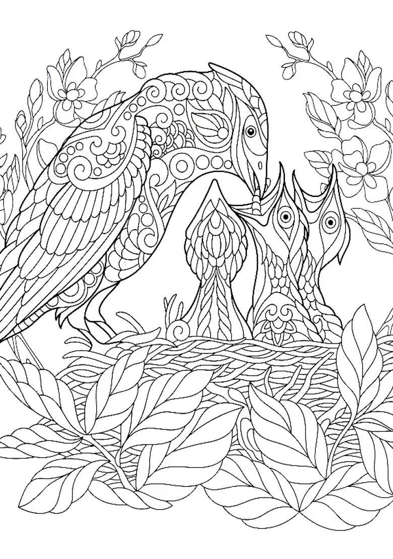 Wilderness- Colouring For Peace And Relaxation (Adult Colouring Book) - Indya