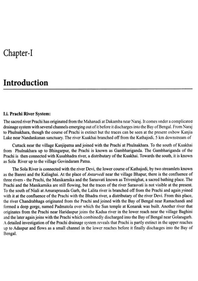 Monuments of the Prachi Valley (A Representation of Sculptural Art in Canvas) - Indya