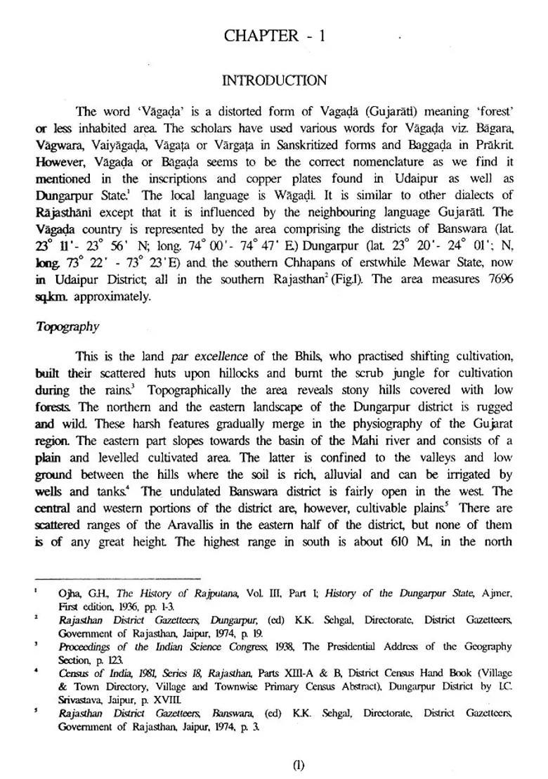 Art Traditions of The Paramaras of Vagada - Indya