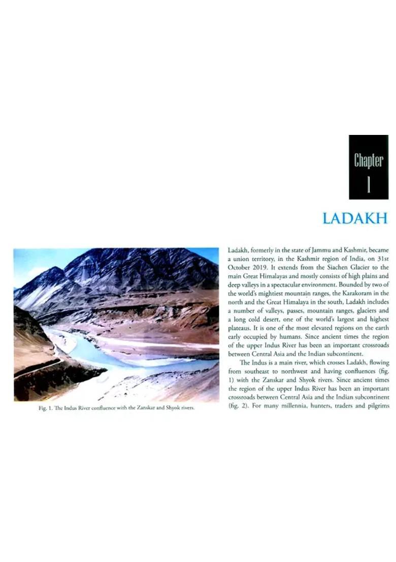 Time and Meaning- Indian Rock Art From Early to Modern Times - Indya