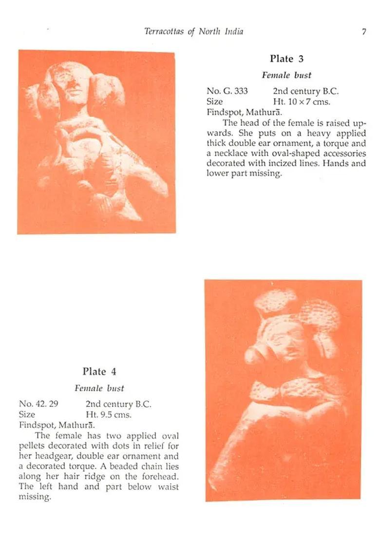 Terracottas of North India (In the Collection of State Museum Lucknow) - Indya