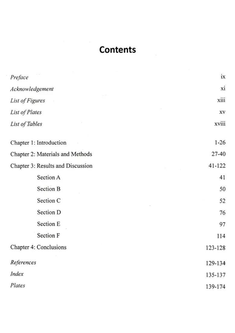 Scientific Preservation of Ajanta Murals - Indya