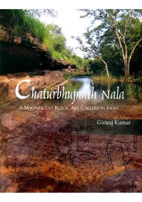Chaturbhujnath Nala- A Magnificent Rock Art Gallery in India