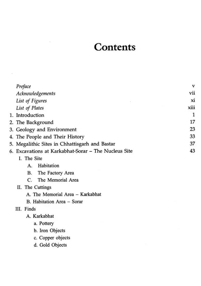 Chhattisgarh Megaliths - Indya