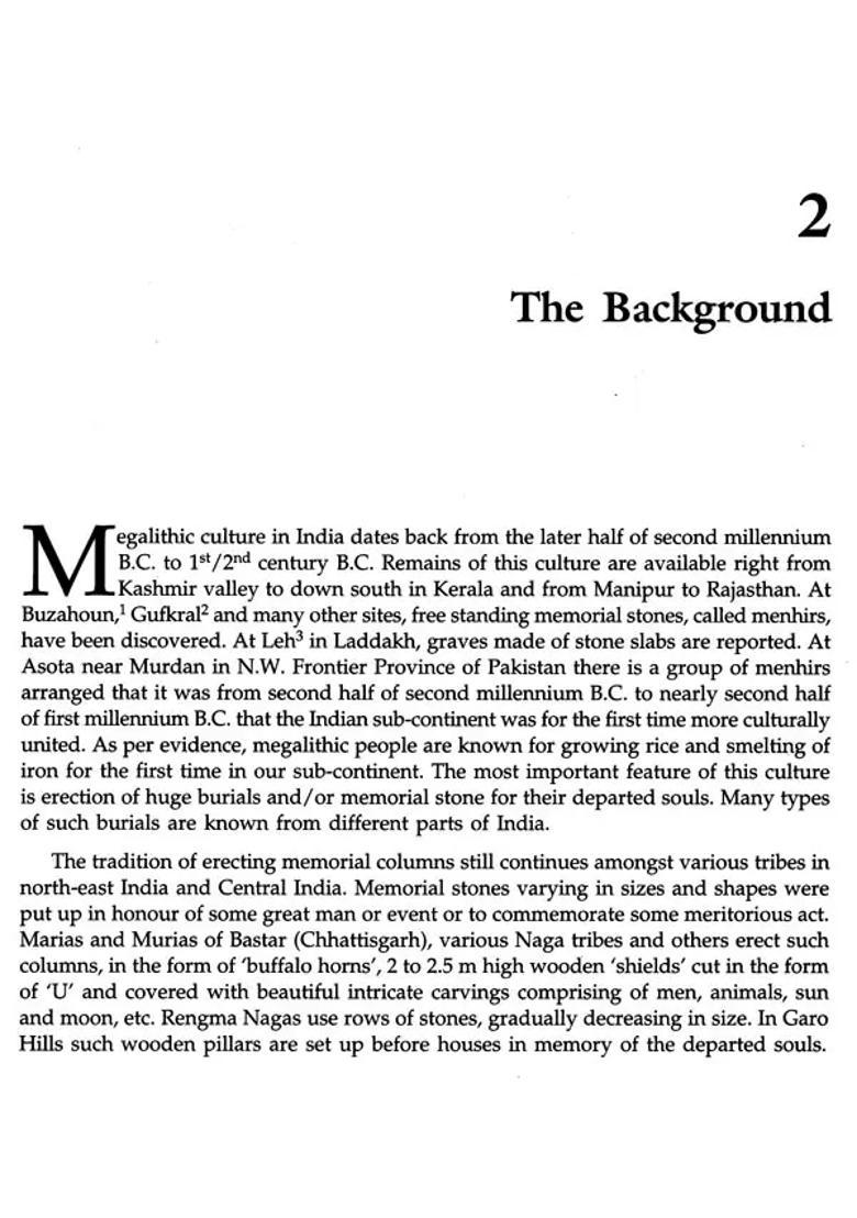 Chhattisgarh Megaliths - Indya