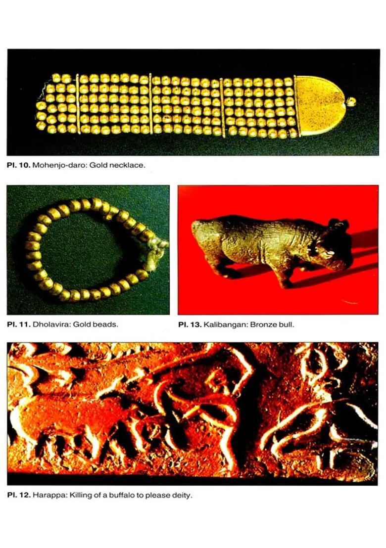 Glimpses of India (Some 5000 Years Ago): A Story of Rich Culture - Indya