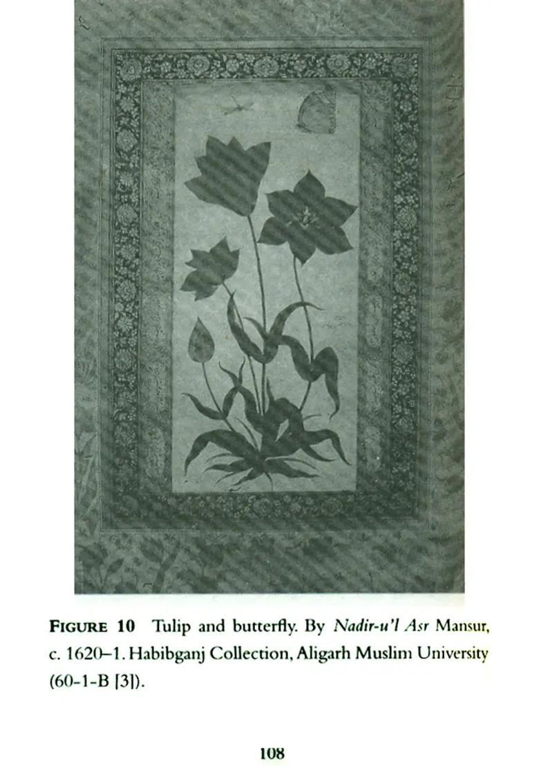 Mughal Painting (Oxford India Short Introductions) - Indya