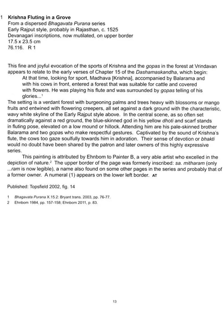 Rajasthani Paintings (In The Jagdish and Kamla Mittal Museum of Indian Art) - Indya