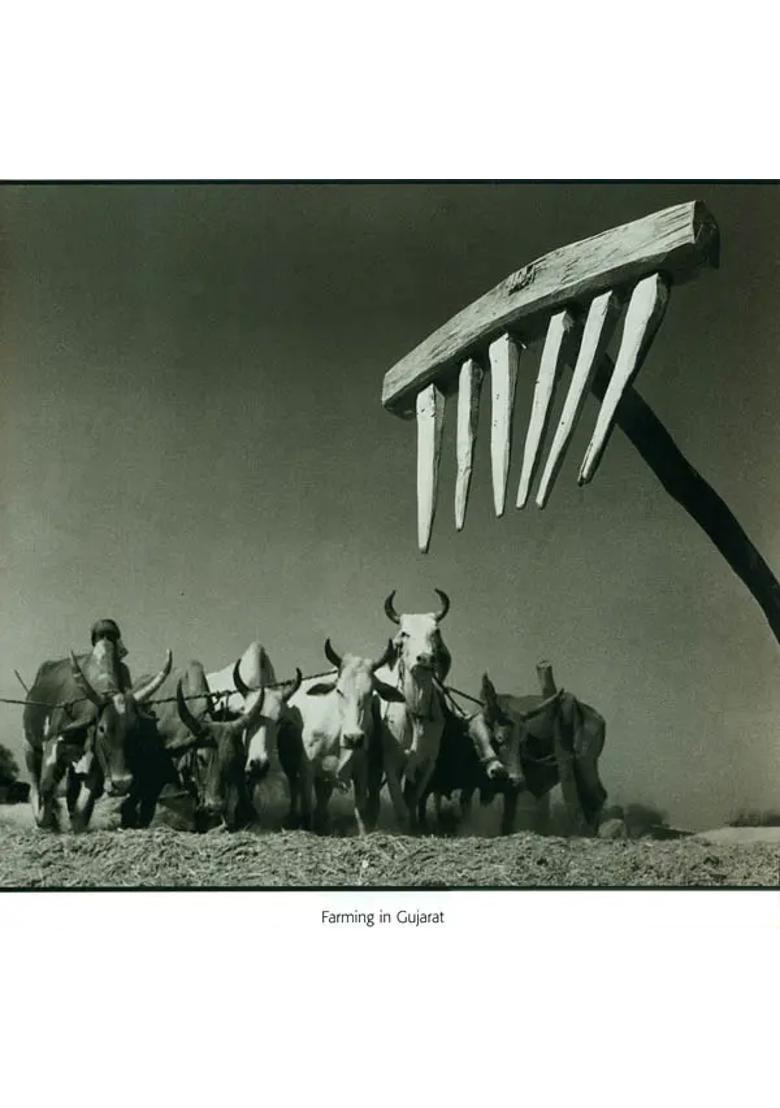 Vision from The Inner Eye (The Photographic Art of A L Syed) - Indya