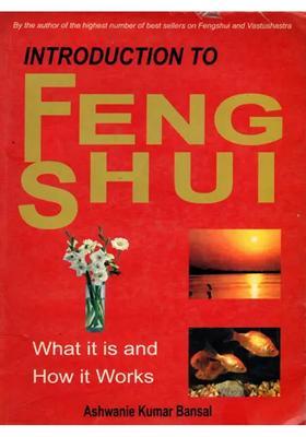 Introduction to Feng Shui What it is and How it Works- An Old and Rare Book (Only 1 Quantity Available)