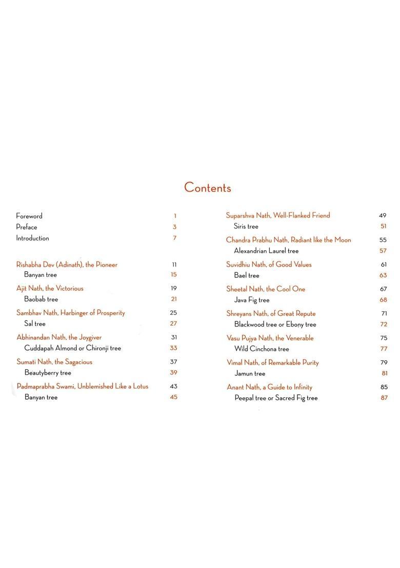 Holy Tirthankars in the Light of Heartfulness - Indya