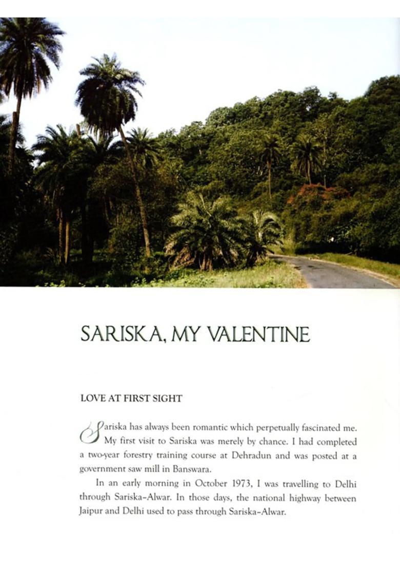 Sariska (The Tiger Reserve Roars Again) - Indya