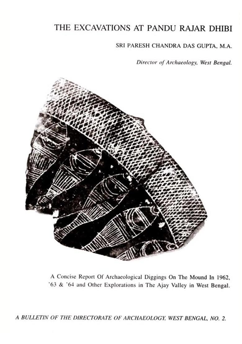 The Excavations at Pandu Rajar Dhibi - Indya