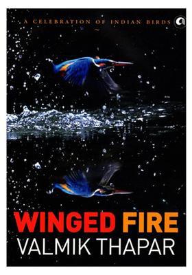 Winged Fire (A Celebration of Indian Birds)