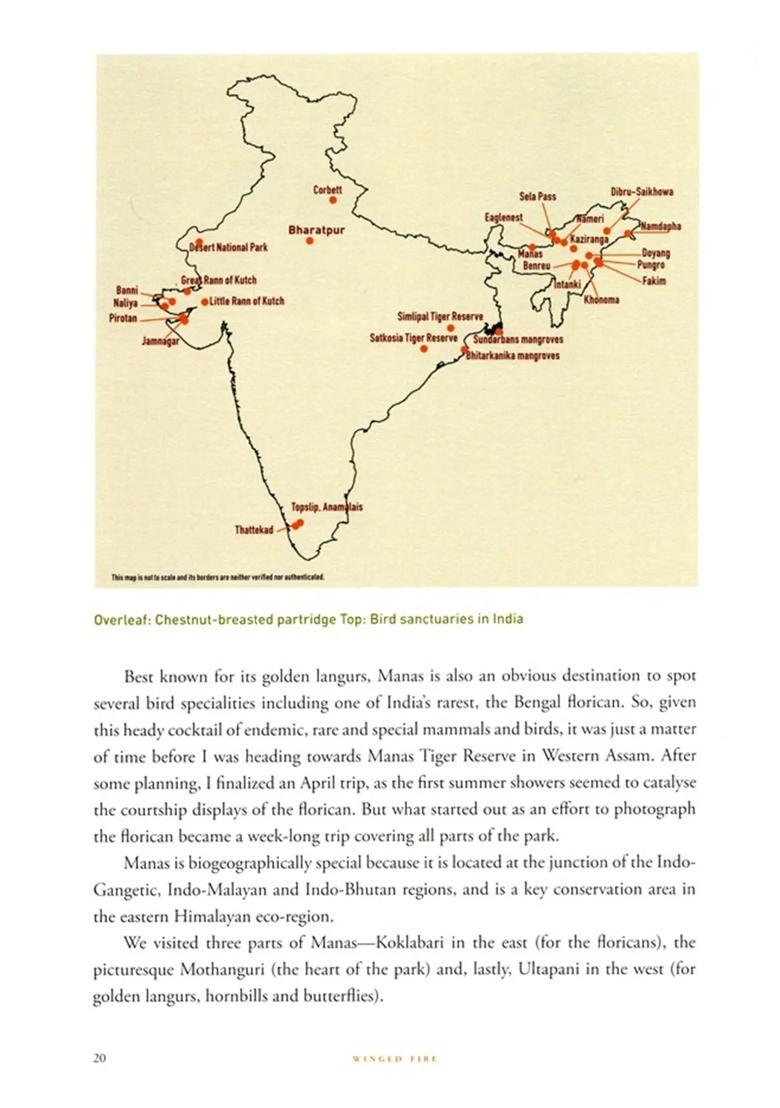 Winged Fire (A Celebration of Indian Birds) - Indya