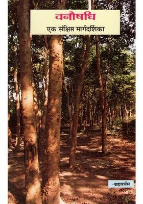 Herbal Medicine (A Brief Guide)