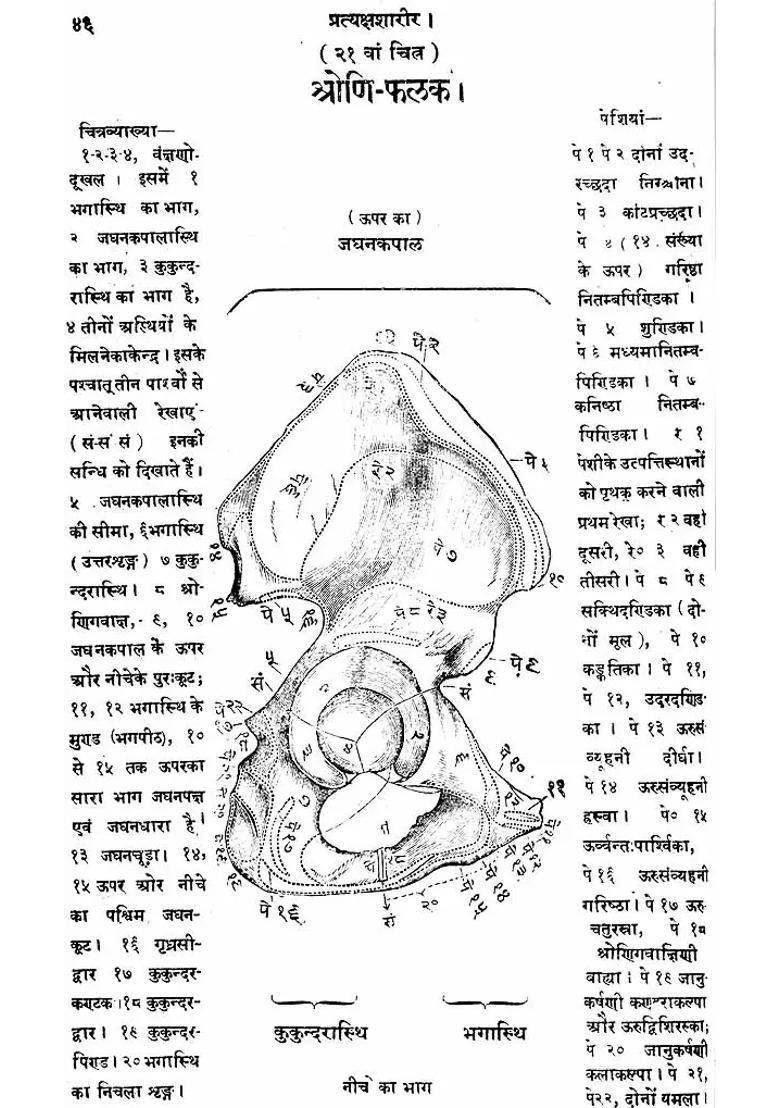 Pratyaksa Sharira (Set of 2 Volume) - Indya