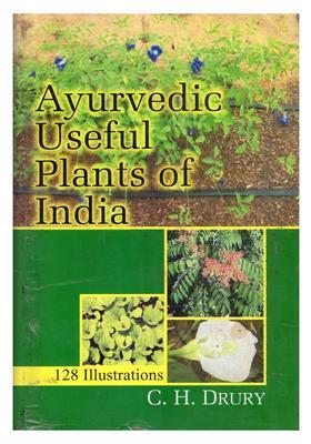 Ayurvedic Useful Plants of India (128 Illustrations)